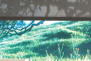Alfombra Residencial 1
